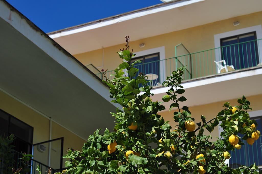 Celo Garden