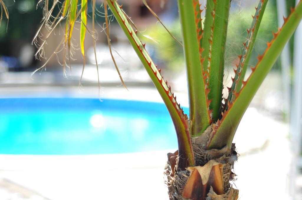 Celo Garden Peguera
